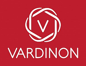  ����� ��� 100% ����� �������   -   3 � 120 �"� ! Vardinon