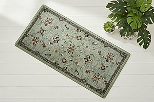 ���� ���� chanille ��� ���� ���� ����